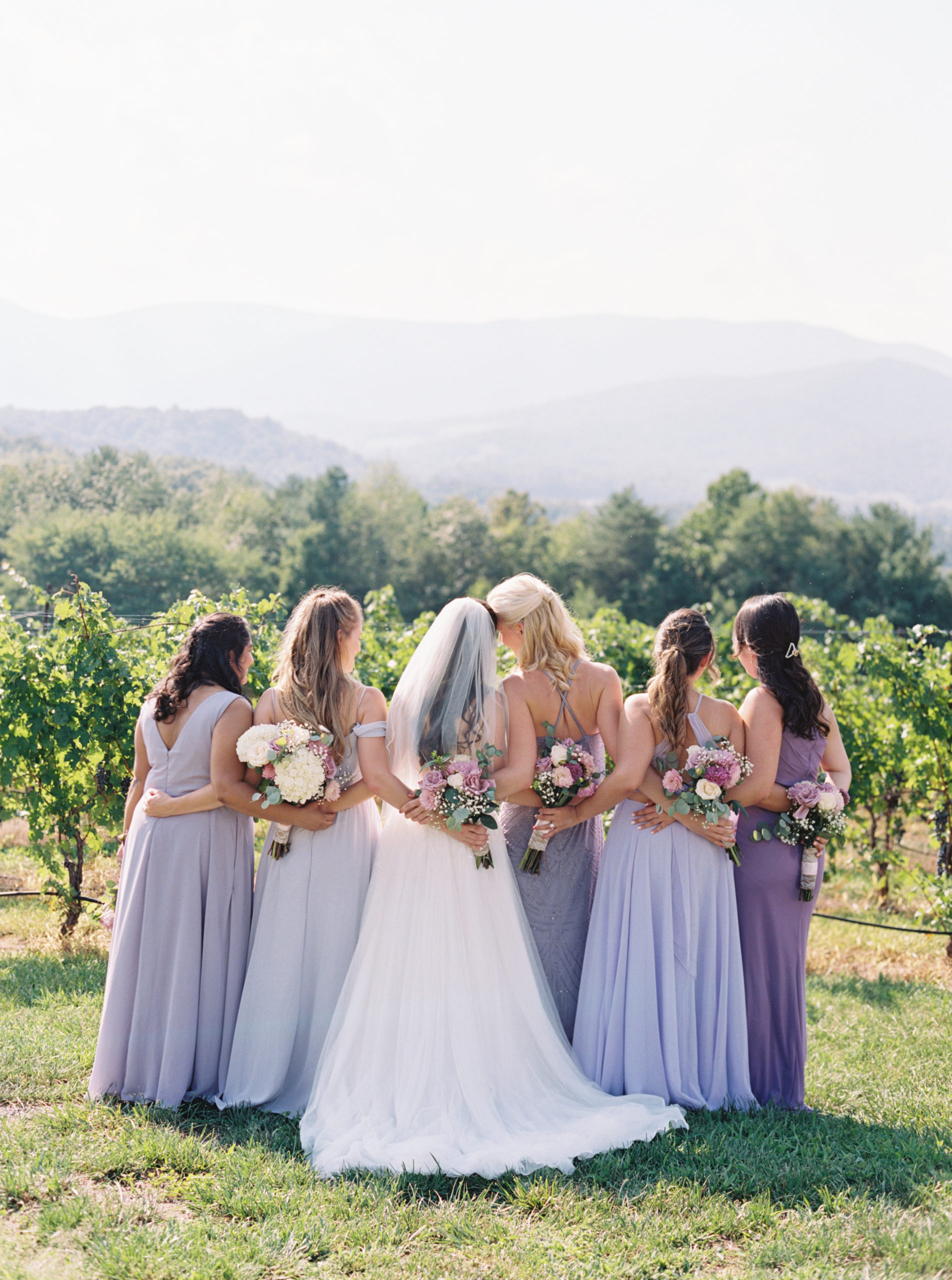 bride in white and bridesmaids in shades of purple look out over virginia vineyard