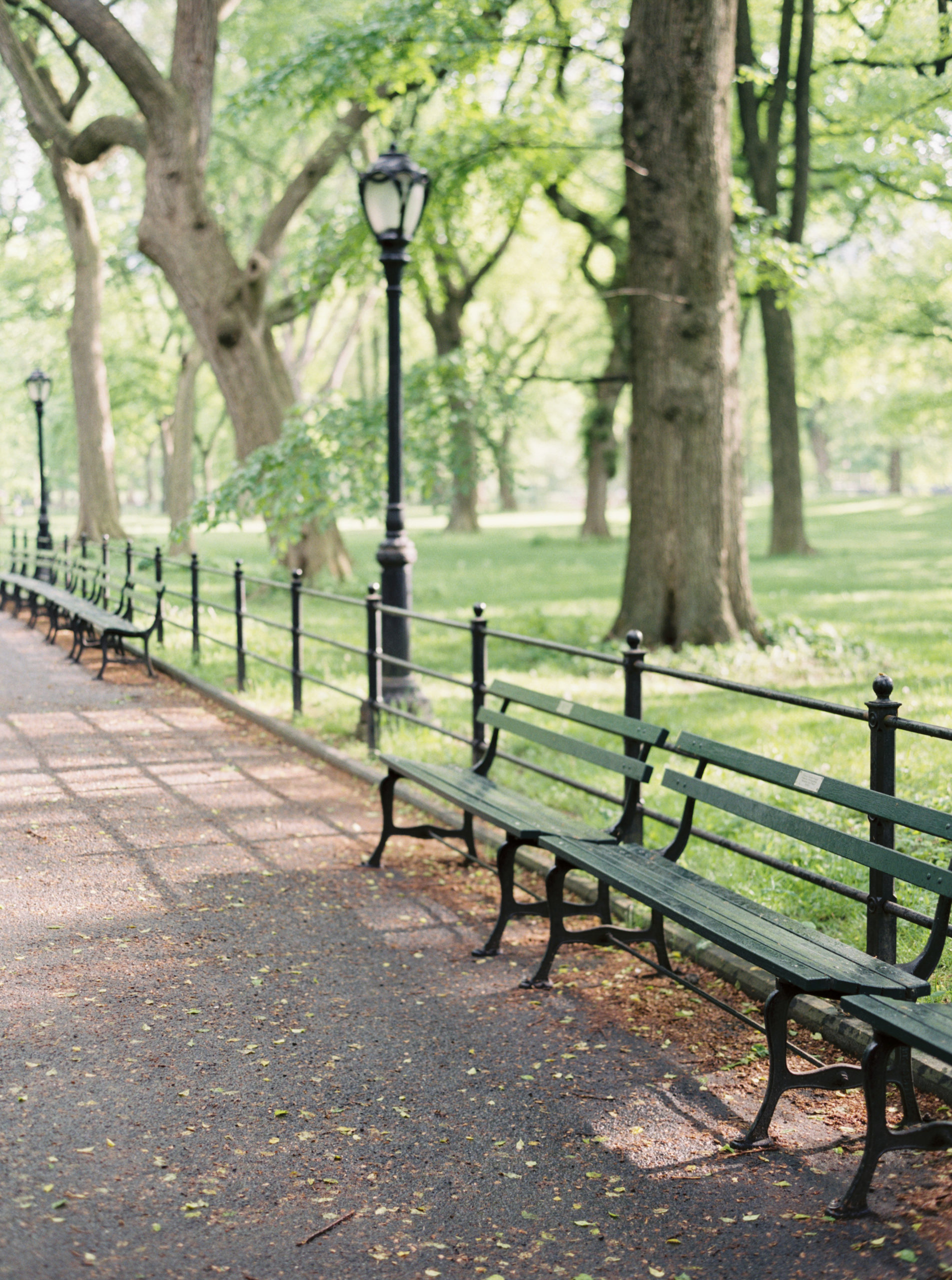 emerald green benches in Central Park after a rainstorm